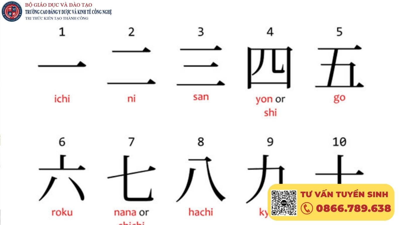Cao đẳng tiếng Nhật là gì và có nên chọn không?