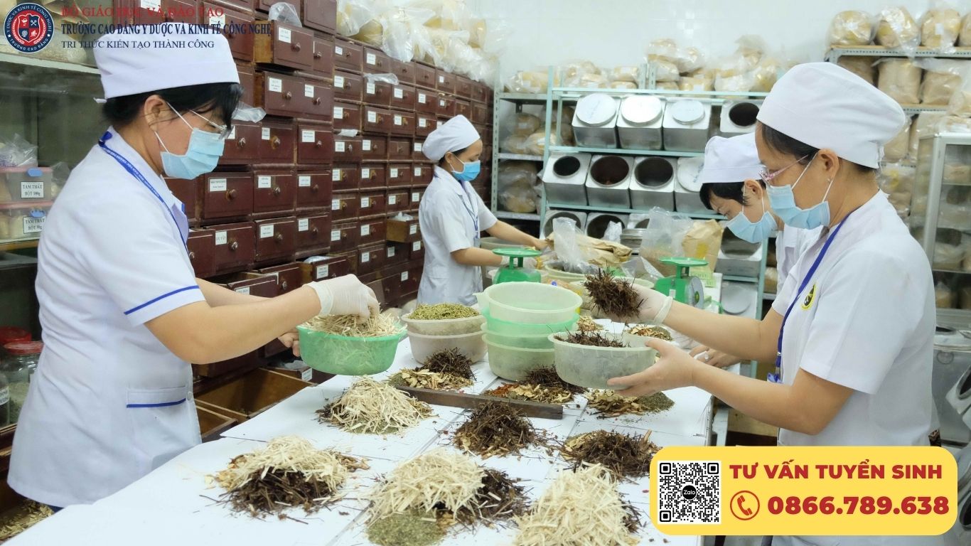 Tốt Nghiệp Cao Đẳng Y Học Cổ Truyền Ra Làm Gì?