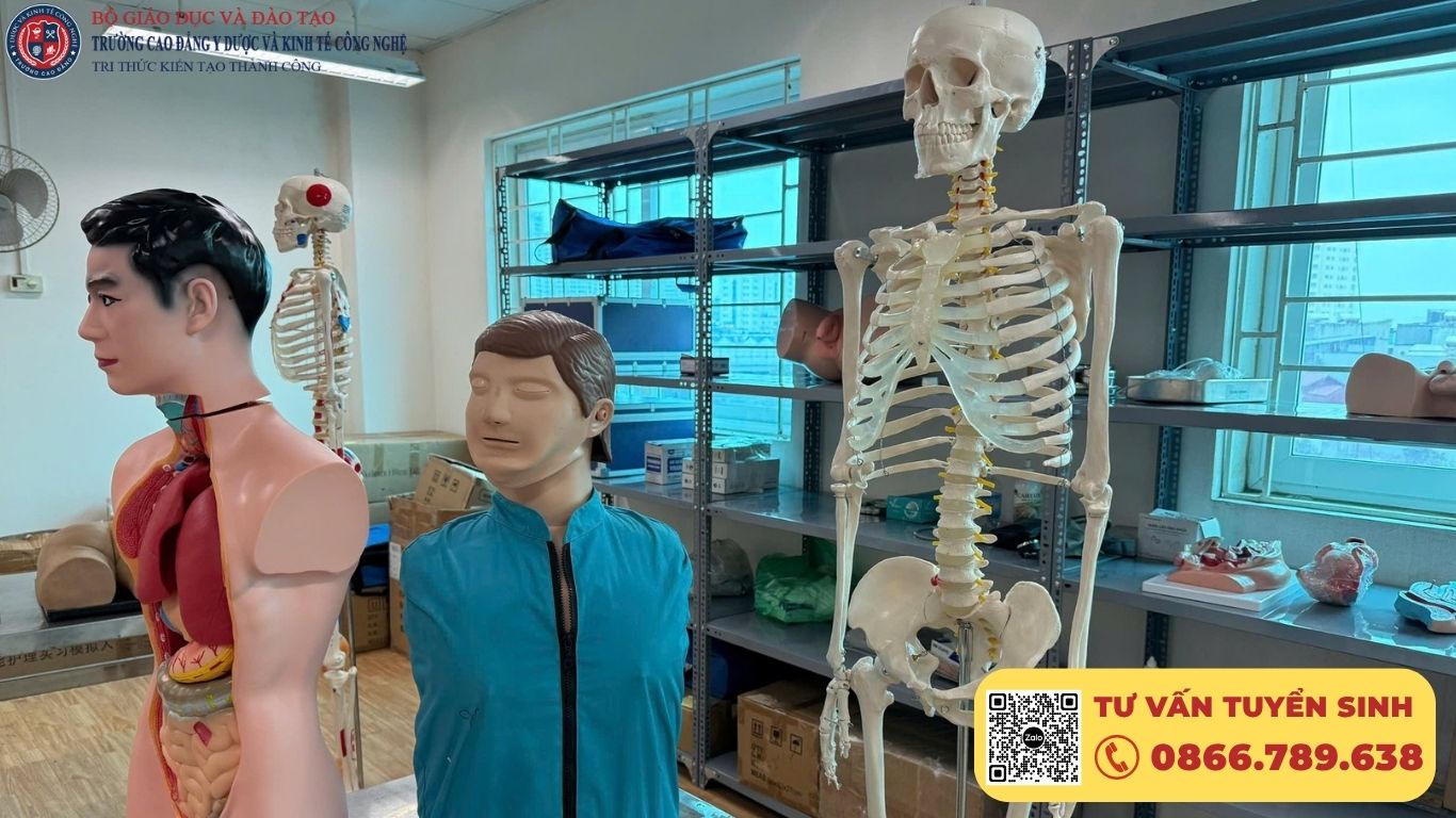 Chương trình đào tạo và kỹ năng sinh viên đạt được