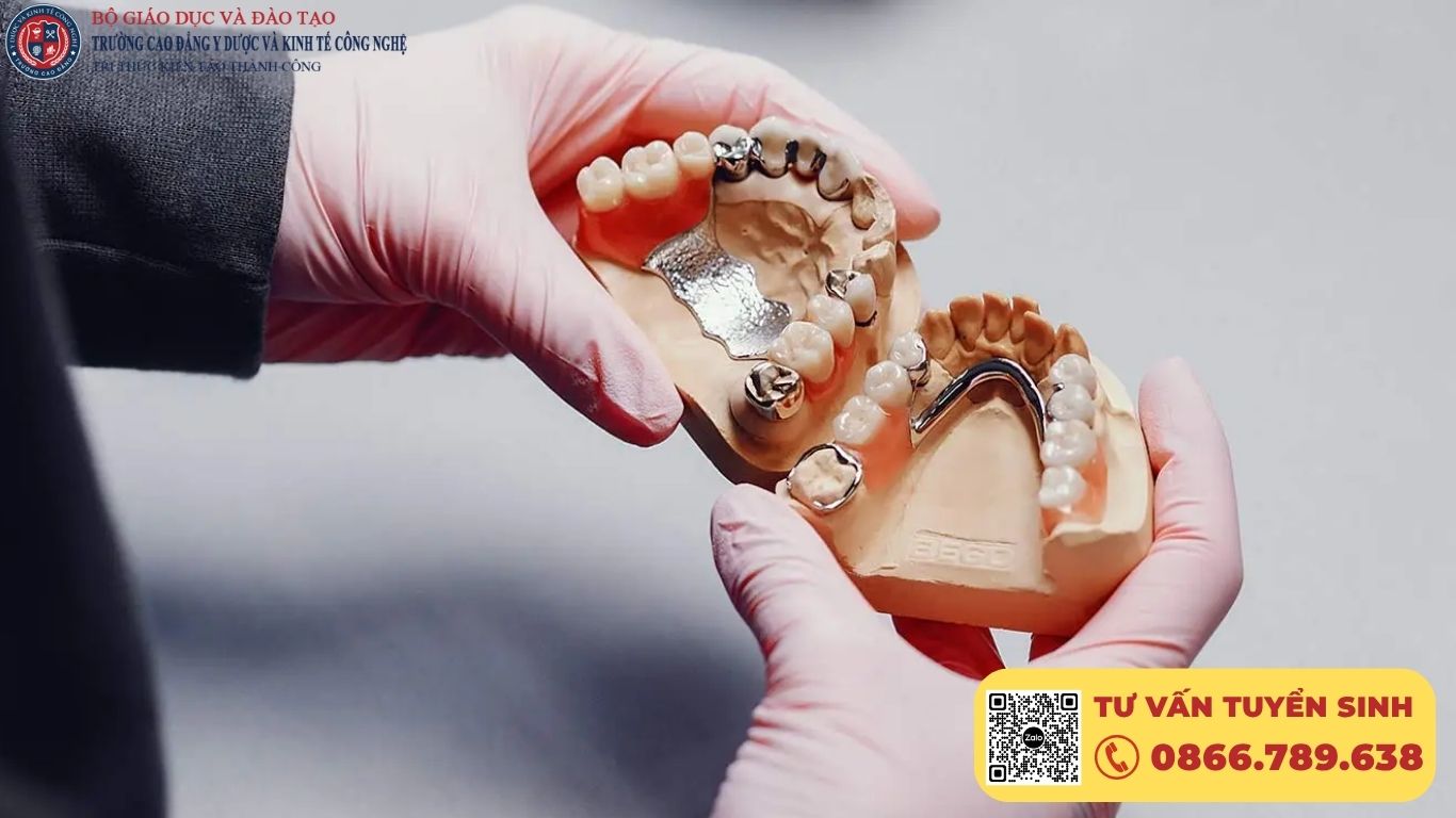 Cơ hội việc làm sau khi tốt nghiệp ngành Kỹ thuật phục hình răng