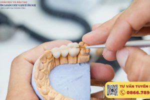 Trường xét học bạ ngành Răng Hàm Mặt uy tín nhất 2026